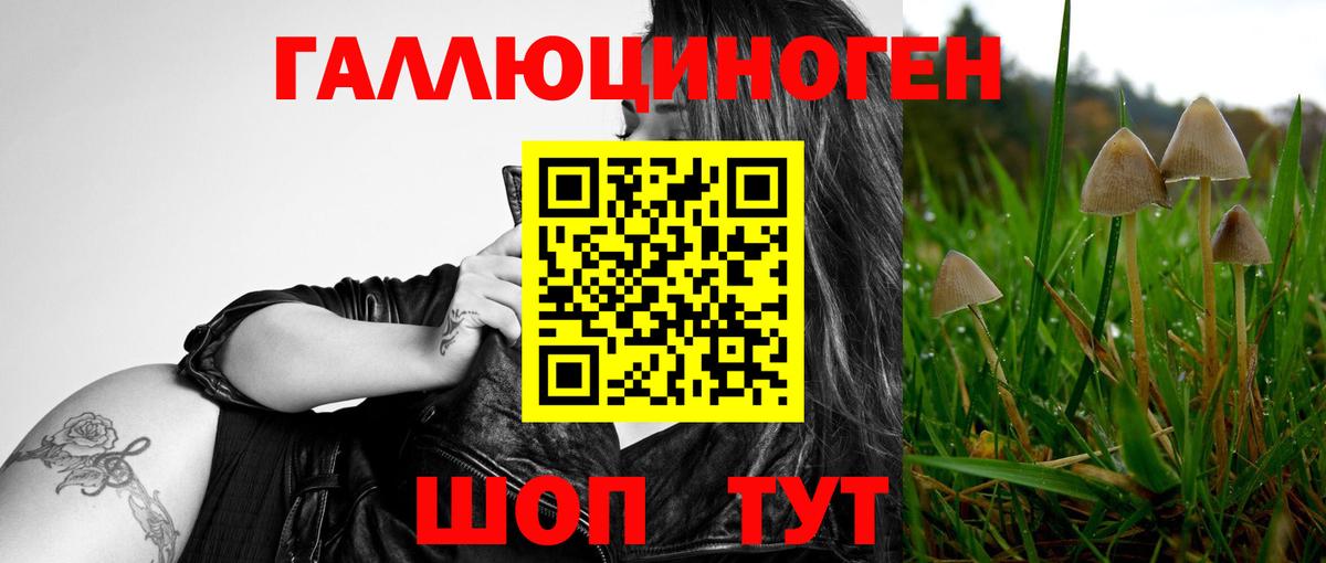 Галлюциногенные грибы Psilocybe Лянтор